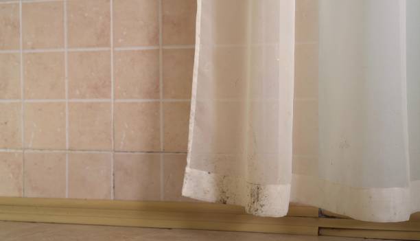 Best Biohazard Mold Removal  in Yosemite Lakes, CA