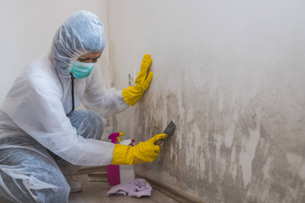Best Commercial Mold Inspection  in Yosemite Lakes, CA