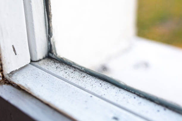 Best Emergency Mold Remediation  in Yosemite Lakes, CA