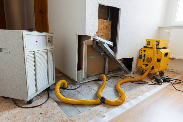  Yosemite Lakes, CA Mold Removal Pros