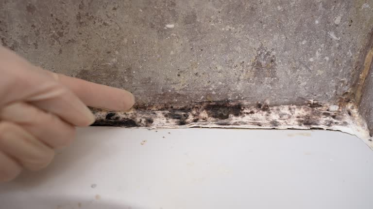 Best Mold Odor Removal Services  in Yosemite Lakes, CA